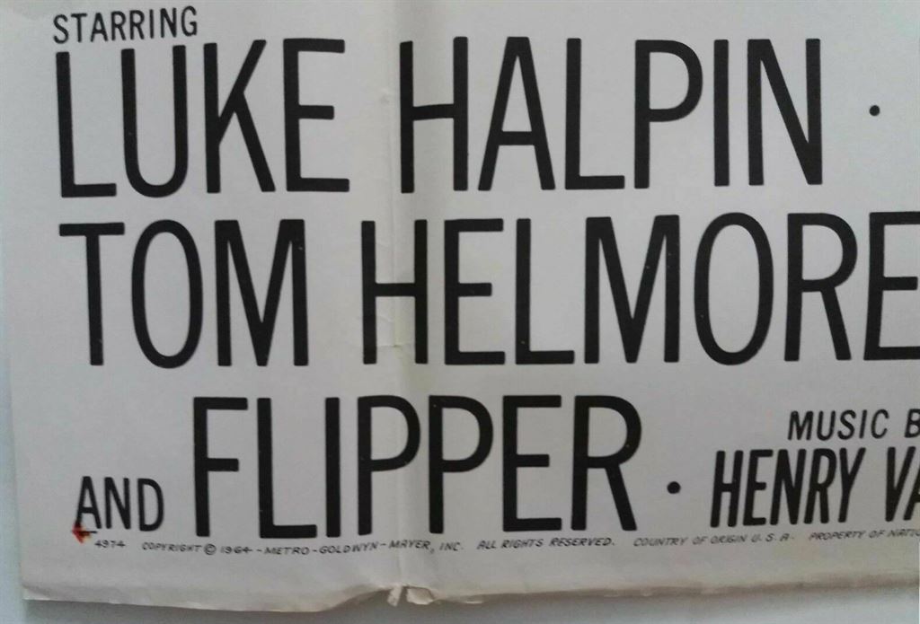 FLIPPERS NEW ADVENTURE ORIGINAL U.S. 3 SHEET FILM POSTER 41" X 78.5" 1964 - Image 7